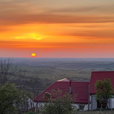 Casa De Vacanta Potoc Екстериор снимка