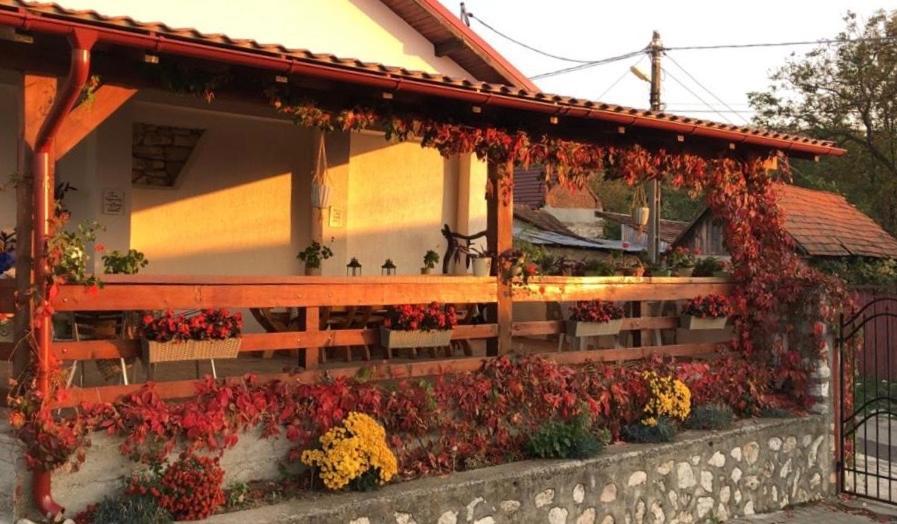 Casa De Vacanta Potoc Екстериор снимка