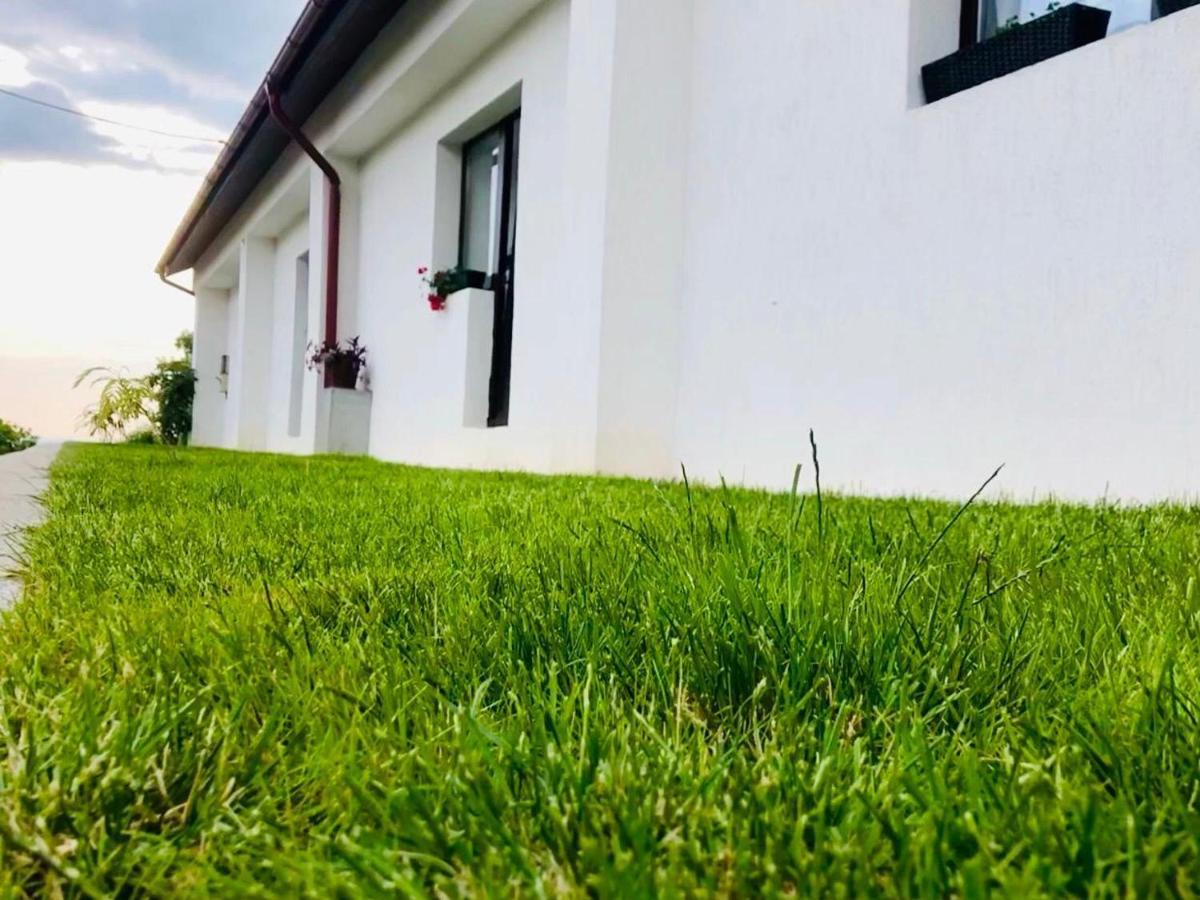 Casa De Vacanta Potoc Екстериор снимка